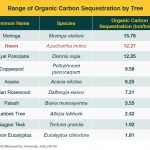 Range of Organic Carbon Sequestration by Tree