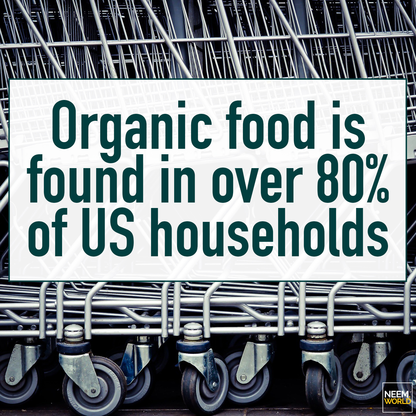organic food us