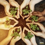 Fighting climate change with healthy soils