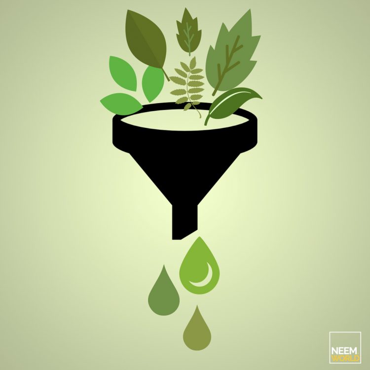 neem as biofuel