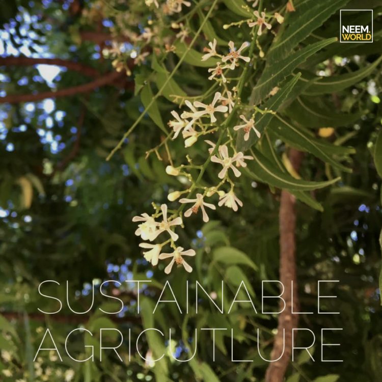 sustainable agriculture