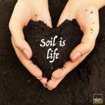 soil degradation is a dangerous global threat