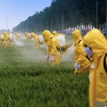 Synthetic Pesticides