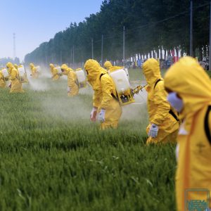 Synthetic Pesticides