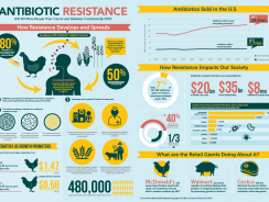 Antibiotic Resistance Infographic