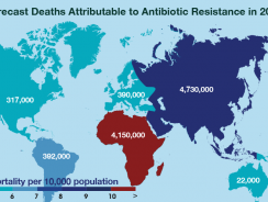 Forecast Deaths Attributable to Antibiotic Resistance