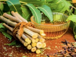 Antiseptic: The Power of Neem Looks After Your Skin