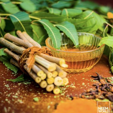 Antiseptic: The Power of Neem Looks After Your Skin