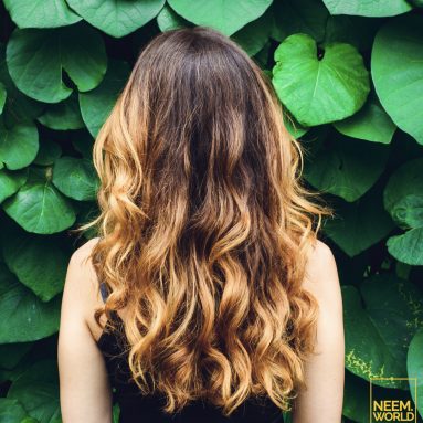 Hair: How to Avoid Loss and Keep it Beautiful Everyday