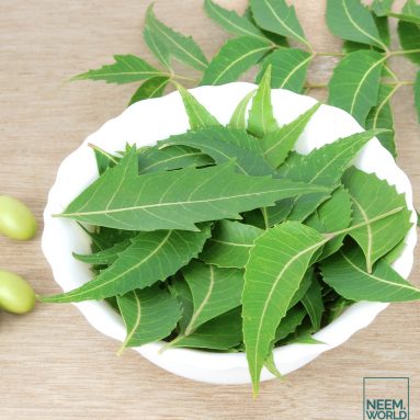 Neem Leaves: The Many Uses of This Ayurvedic Wonder