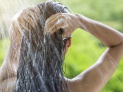 Shampoo: The Many Benefits of Neem for Your Hair