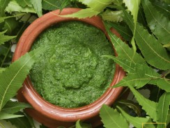 How Neem Helps you Defeat Acne and Have Healthier Skin