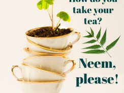 Benefits of Neem Tea