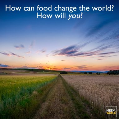 Organic Food to Sustainability