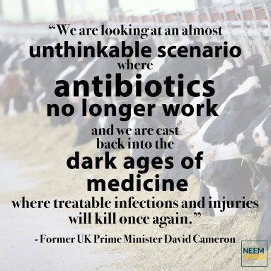 The Danger of Antimicrobial Resistance