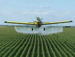 Reducing Pesticide Use