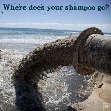 Where does your Shampoo Go?