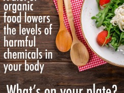 Lower your Toxin Levels with Organic