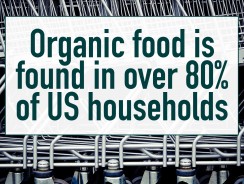 Do You Have Organic in Your House?