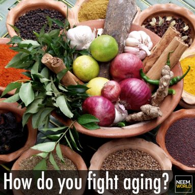 Fight Aging with Neem