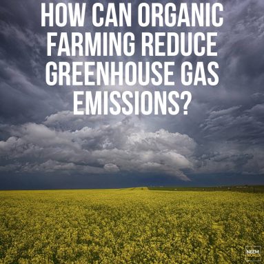 Act on Climate with Organics