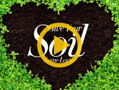 The Science of Soil Health: Systems in Agroecology