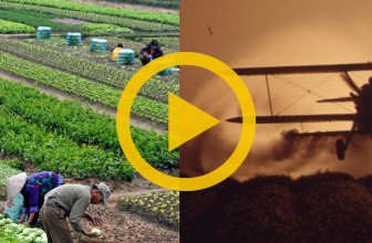 Sustainable Vs Industrial Agriculture