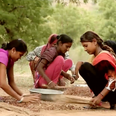 The Neem Project: Creating Sustainability