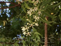 Neem’s Role in Sustainable Agriculture