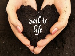 Soil Degradation Continues: Only 60 Years of Farming Left