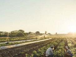 A Sustainable Future with Organic Agriculture