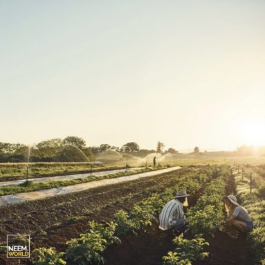 A Sustainable Future with Organic Agriculture