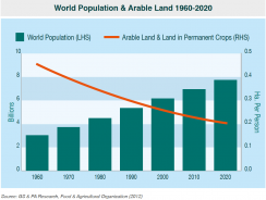 World Population and Arable Land 1996 – 2020 Chart
