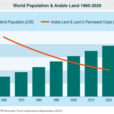 World Population and Arable Land 1996 – 2020 Chart