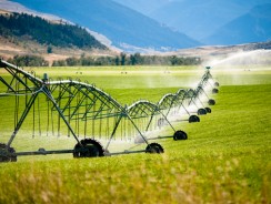 Fertilizers – The Good, the Bad and the Ugly