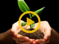 What is Sustainable Growth?
