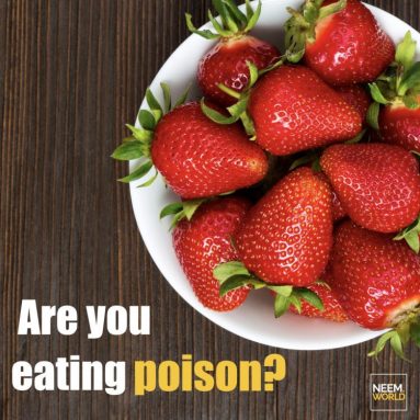 Are you Eating Poison?