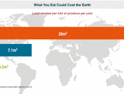 What You Eat Could Cost the Earth – Chart